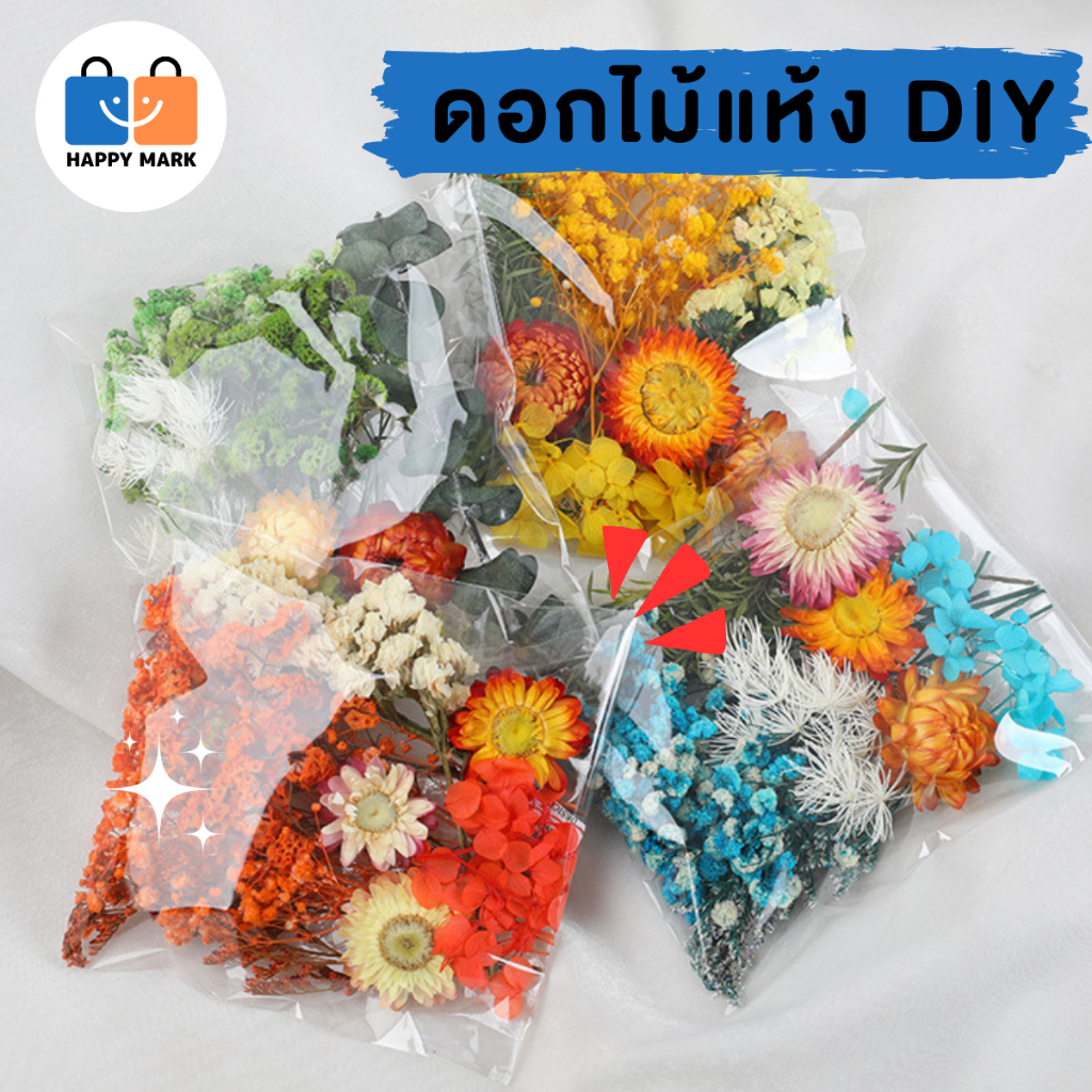 ชุดดอกไม้แห้ง DIY ดอกไม้แห้ง สำหรับงานประดิษฐ์ มีหลายสีให้เลือก V110 พร้อมส่งจากไทย
