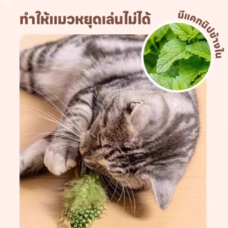 yoyopet : ของเล่นแมว นกปลอม ของเล่นเสียงนกจำลอง ห้อยเล่นได้ ใส่แคทนิป นกมีเสียง ทนต่อการกัด
