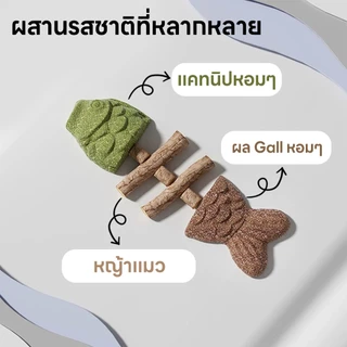 yoyopet : 3in1 แคทนิปก้างปลา ไม้มาทาทาบิ หญ้าแมว ขัดฟัน ฟิน ขับก้อนขน ของเล่นแมว แมวฟิน