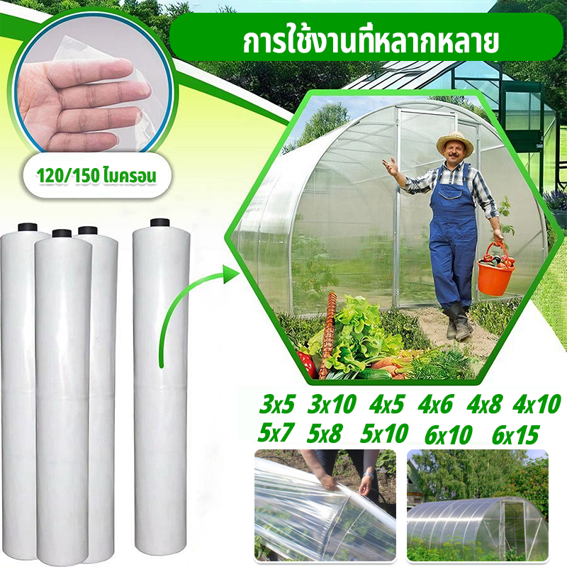 พลาสติกโรงเรือน พลาสติกใส พลาสติกPE หนา 150 ไมครอน โรงเรือน โรงเรือนเพาะชำ พลาสติกคลุมโรงเรือน พลาสต