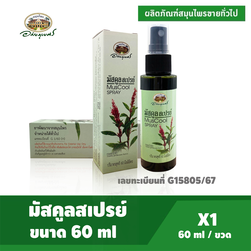 อภัยภูเบศร มัสคูลสเปรย์ ขนาด 60 ml. (ผลิตภัณฑ์ขายได้ทั่วไป)