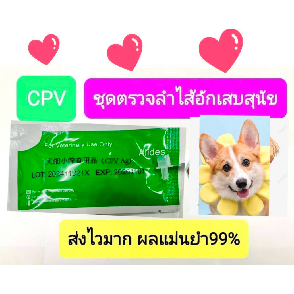 ชุดตรวจลําไส้อักเสบในสุนัขรู้ผลใน5นาทีส่งไวมากแม่นยำ