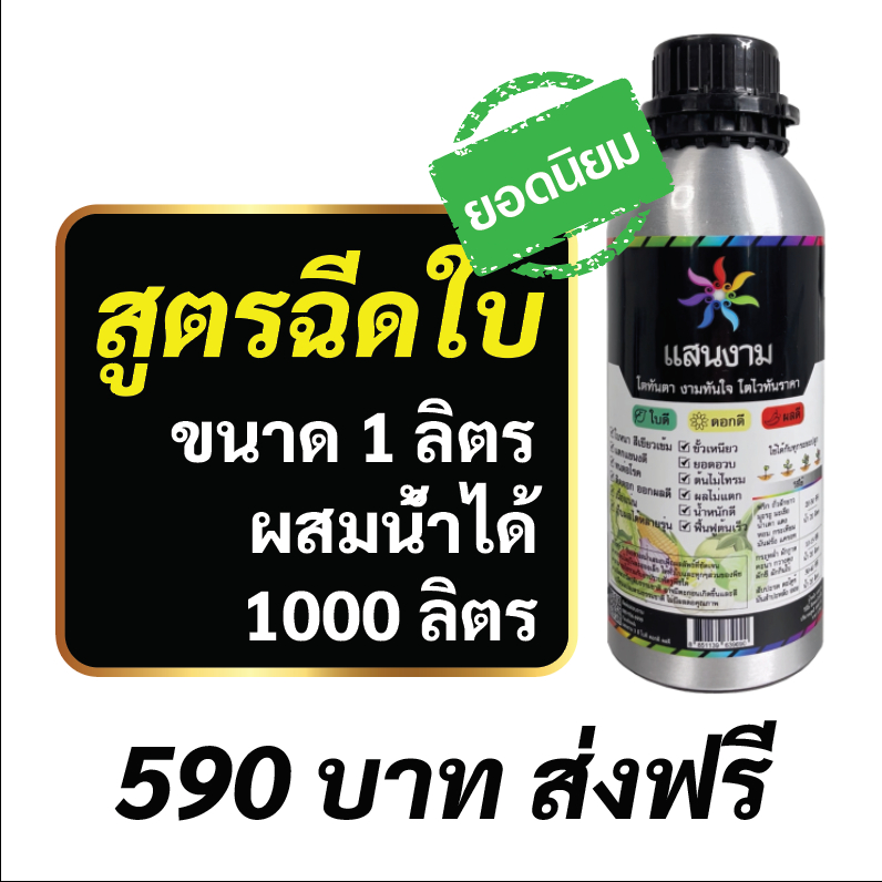 แสนงาม 3 ดี ใบดี ดอกดี ผลดี 1 ขวด บรรจุ 1ลิตร[ผสมน้ำได้ 1000ลิตร] โตทันตา งามทันใจ โตไวทันราคา