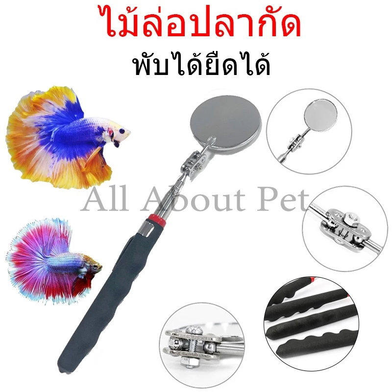 กระจกล่อปลา ไม้ล่อปลากัด 50 มม.