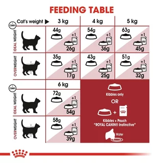 โรยัล คานิน อาหารแมวโต สำหรับแมวโต รูปร่างดี อายุ 1-7 ปี ขนาด 4 กิโลกรัม ROYAL CANIN ADULT CAT REGULAR FIT 4 KG.