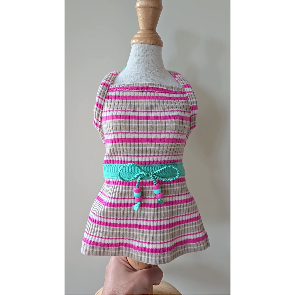 Dogster & Pals: Barbie Stripe Dress