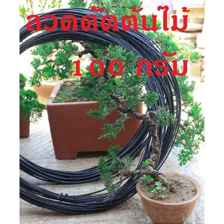 (ร้านใหม่) 100 กรัม ขนาด 1.5/2/2.5/3/4 มิล ลวดบอนไซ ลวดดัด น…