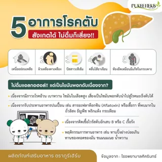 เลซิตินแคปซูล ตราภูรีเฮิร์บ (ร้านเจ้าของแบรนด์)