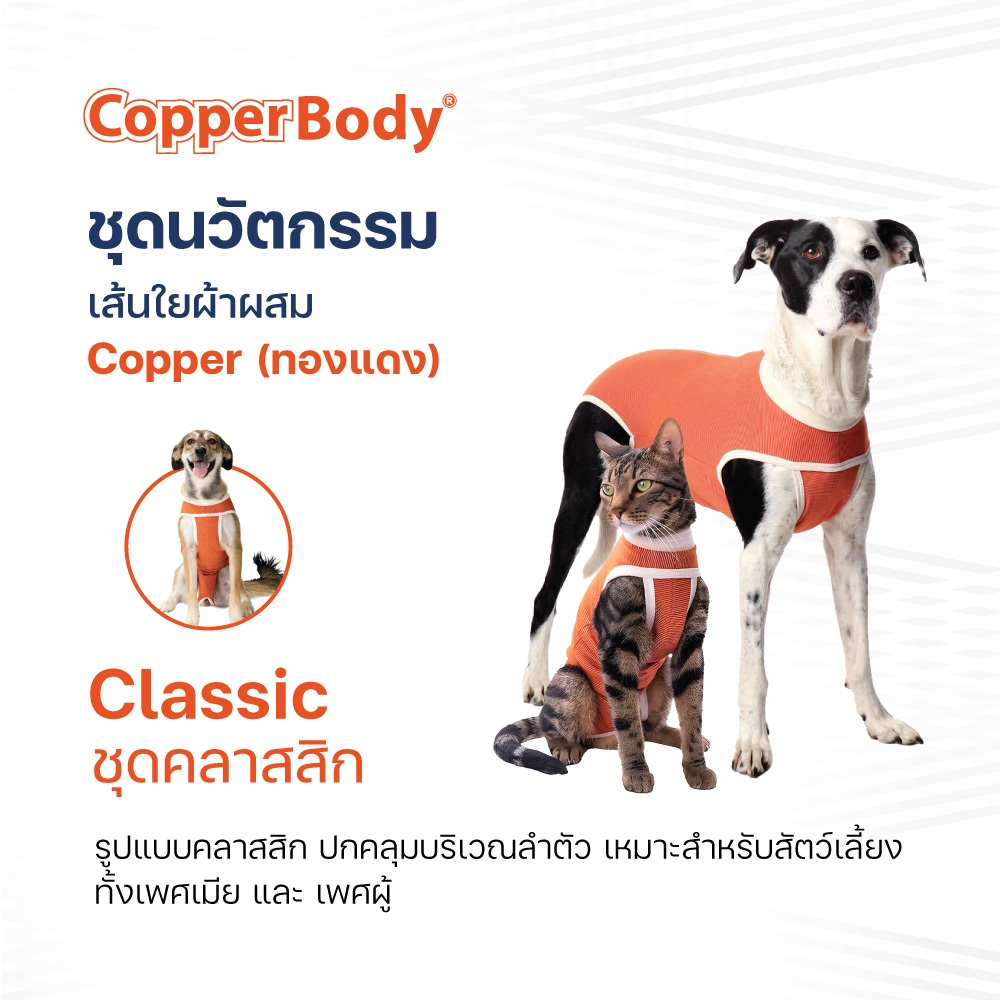 CopperBody Classic นวัตกรรมชุดทองแดง ใส่หลังผ่าตัด ปกคลุมบริเวณลำตัวสัตว์เลี้ยง