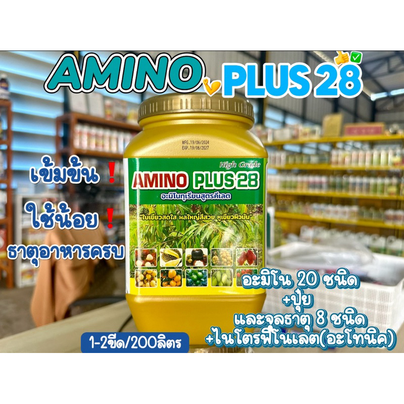AMINO PLUS28 ใบเขียวเข้ม ใบใหญ่ ชุดใบแตกสม่ำเสมอ ดอกอวบ ผลสวย ใช้สำหรับการเกษตรเท่านั้น