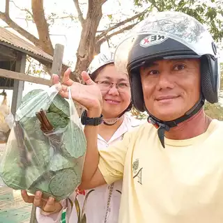 [ถุง10เม็ด]เม็ดพันธุ์บัวหลวง ตัดเปลือกช่วยงอก ดอกสีชมพู แช่น้ำ 3 วัน งอก 99% (เมล็ดใช้เพาะปลูก)