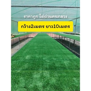 กว้าง2เมตร ยาว12เมตร หญ้าเทียมเกรดคุณภาพภาพ หญ้าเทียมเกรดAAA…