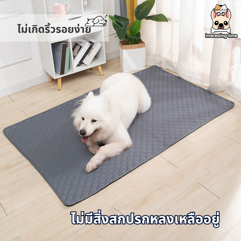 【พร้อมส่ง】แผ่นฝึกสุนัขแผ่นรองฉี่สัตว์เลี้ยงล้างทำความสะอาดได้แผ่นกันลื่นแบบใช้ซ้ำได้ แผ่นฉี่สุนัขระบายอากาศได้ดี