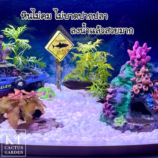 หินธรรมชาติ รองพื้นตู้ปลา แต่งตู้ปลา/ตู้ไม้น้ำ/โหลปลากัด