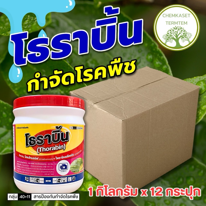 โธราบิ้น(ไดเมทโทมอฟ+ไพราโคสโตรบิน)ขนาด 1 กก 🥬สารป้องกันกำจัดโรคพืชที่เกิดจากเชื้อรา