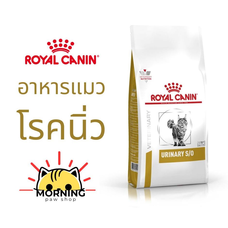 Royal Canin URINARY S/O CAT 1.5 kg / 3.5kg  อาหารแมวประกอบการรักษาโรคนิ่ว กระเพาะปัสสาวะอักเสบ ชนิดเม็ด