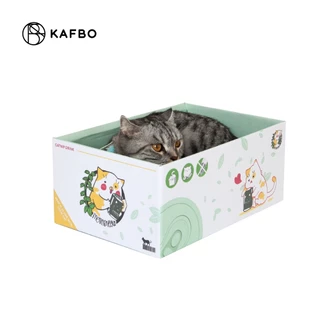 KAFBO Cat box - Catnip drink กล่องลังแมว บ้านแมว ที่ลับเล็บแมว ที่ฝนเล็บแมว