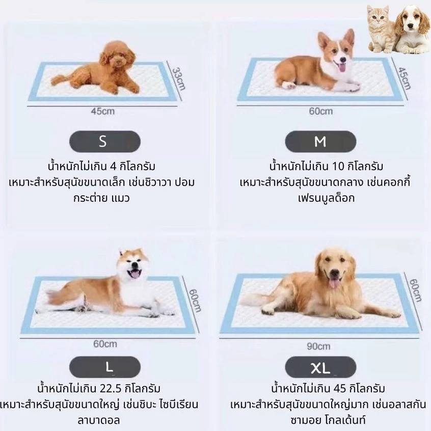แผ่นรองฉี่สุนัข 2 ชั้น ต่อต้านแบคทีเรีย ซึมซับดี thumbnail 4