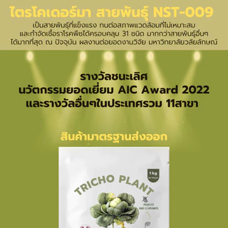 ไตรโคเดอร์มา 10kg ราคาส่ง กำจัดเชื้อราโรคพืชได้มากถึง 31ชนิด