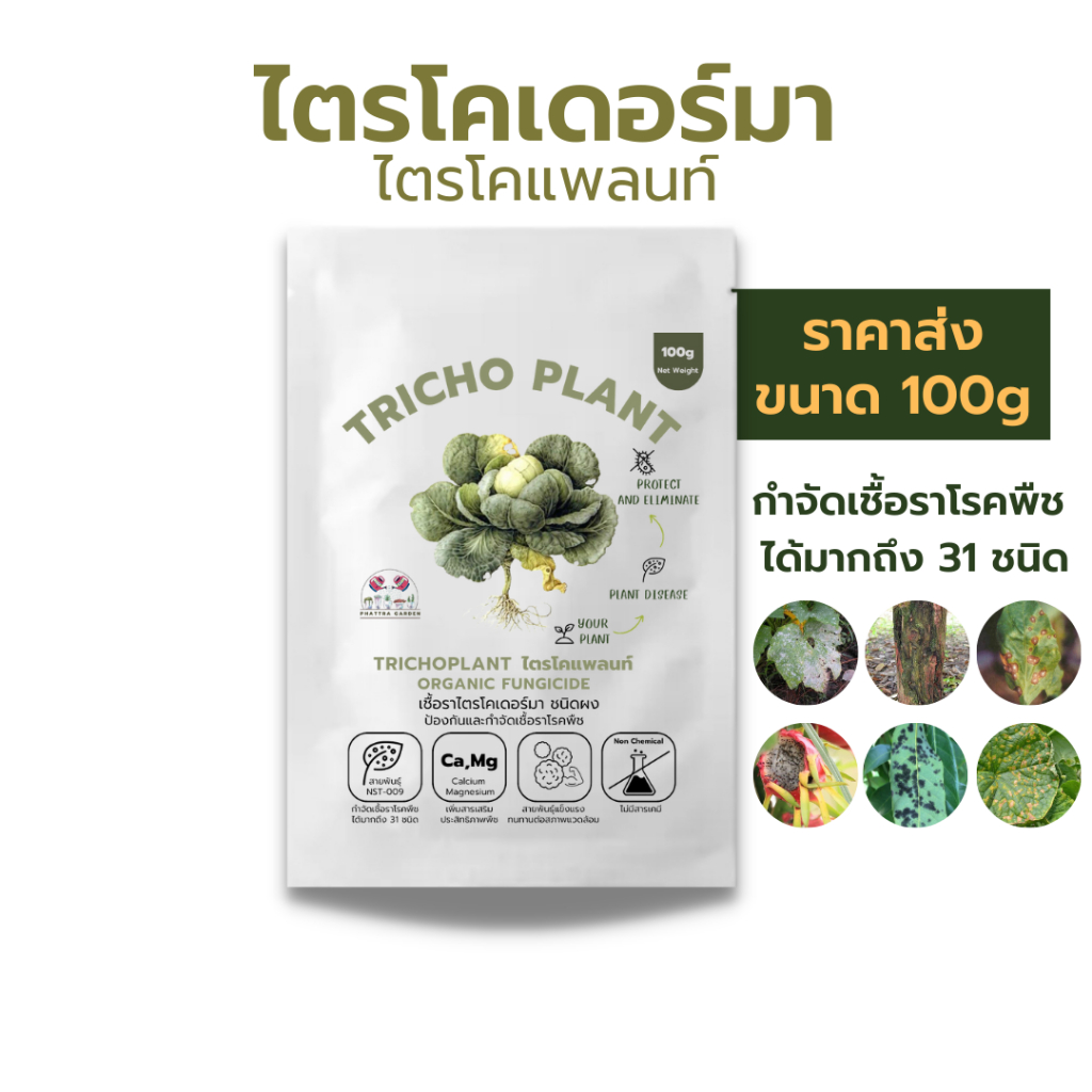 ไตรโคเดอร์มา 100กรัม กำจัดเชื้อราโรคพืชได้มากถึง 31ชนิด