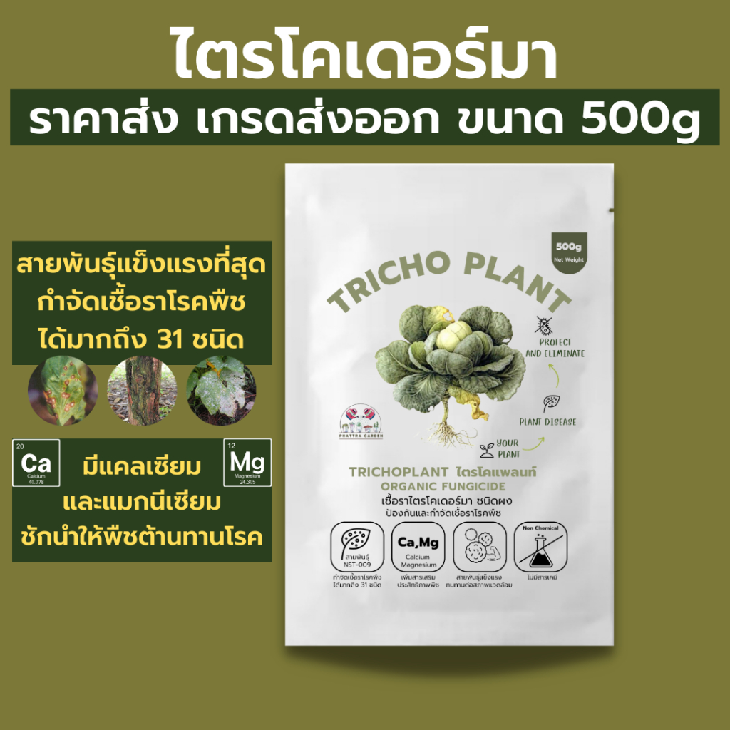 ไตรโคเดอร์มา 500กรัม ราคาส่ง กำจัดเชื้อราโรคพืชได้มากถึง 31ชนิด