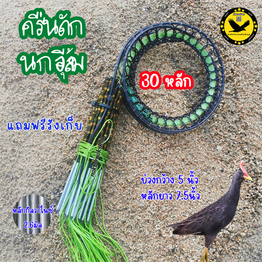 ครืนดักนกอีลุ้ม บ่วงดักนกอีลุ้ม 30หลัก 30บ่วง บ่วงเดี่ยว บ่วงกว้าง5นิ้ว หลักยาว7.5นิ้ว แถมฟรีรังเก็บ