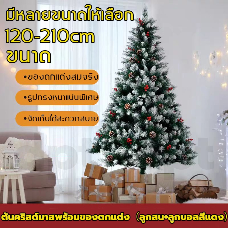 พร้อมส่ง คริสต์มาส ต้นคริสต์มาสพร้อมของตกแต่ง（ลูกสน+ลูกบอลสีแดง）120-210cm ต้นคริสต์มาส ตกแต่งคริสต์มาส Christmas Tree
