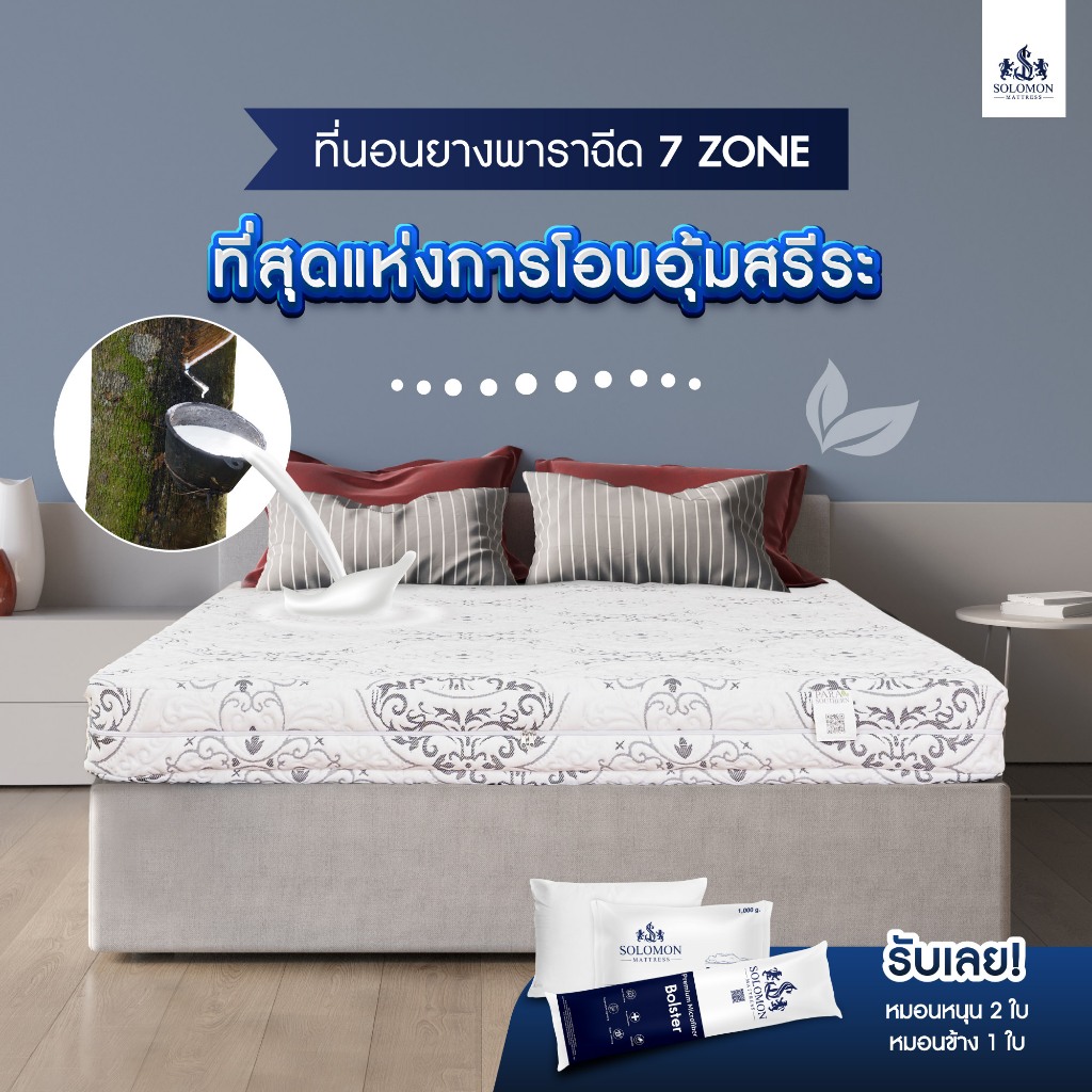 SOLOMON ที่นอนยางพาราแท้100% หนา6นิ้ว รุ่น Seven Zone  แถมหมอนหนุน 2 ใบ หมอนข้าง 1 ใบ