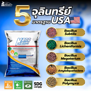 Nanozyme 100กรัม* หัวเชื้อจุลินทรีย์ (สูตรเข้มข้น) ย่อยสลายกากของเสีย ไขมันบ่อดัก บำบัดน้ำเสีย กำจัดกลิ่นเหม็น