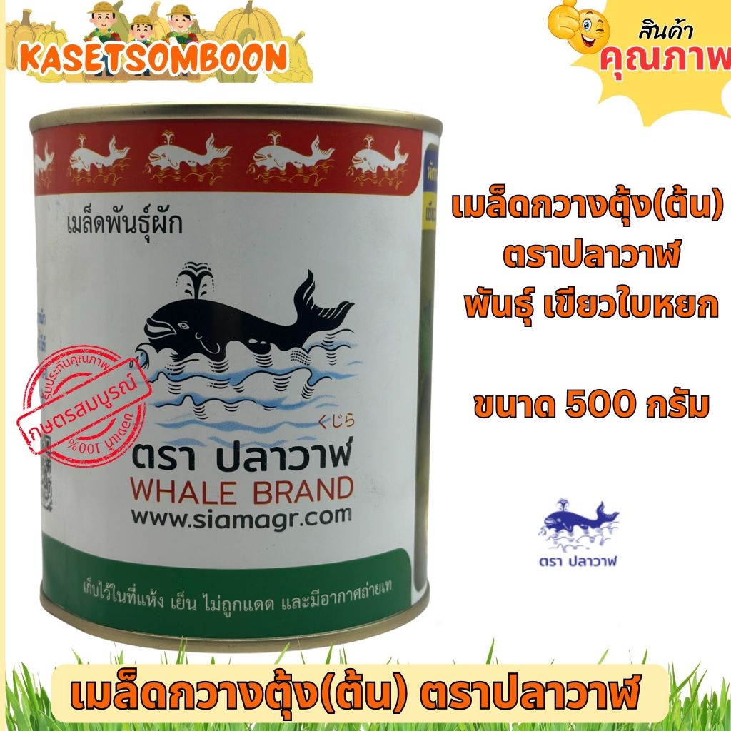 กวางตุ้งเขียวใบหยก เมล็ดพันธุ์ 500 กรัม ตราปลาวาฬ ราคา ถูกที่สุด ดีลบีเคเค แกลเลอรีภาพที่ 4
