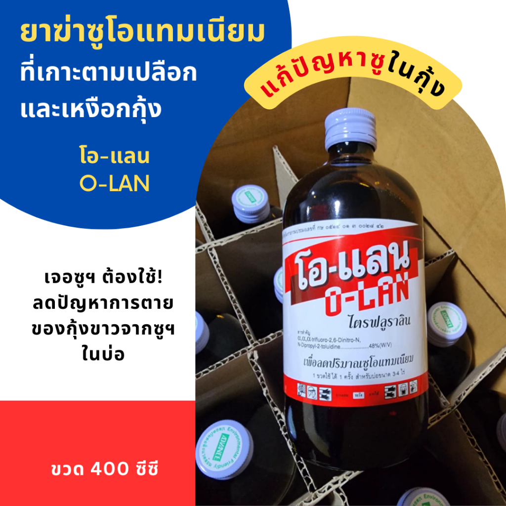 โอ-แลน O-LAN ไตรฟลูราลิน ยาฆ่าซู (ซูโอแทมเนียม) แก้ปัญหาซูเกาะเหงือกและเปลือกกุ้ง