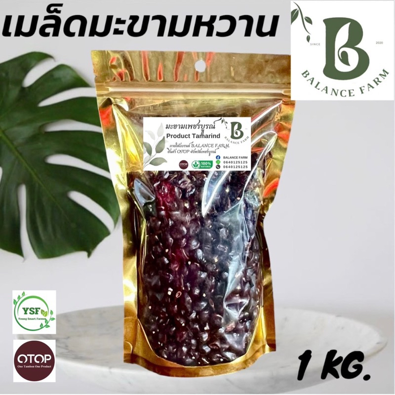 เมล็ดมะขามหวาน 1 กิโลกรัม สำหรับปลูกทำรั้วและทำกาแฟ