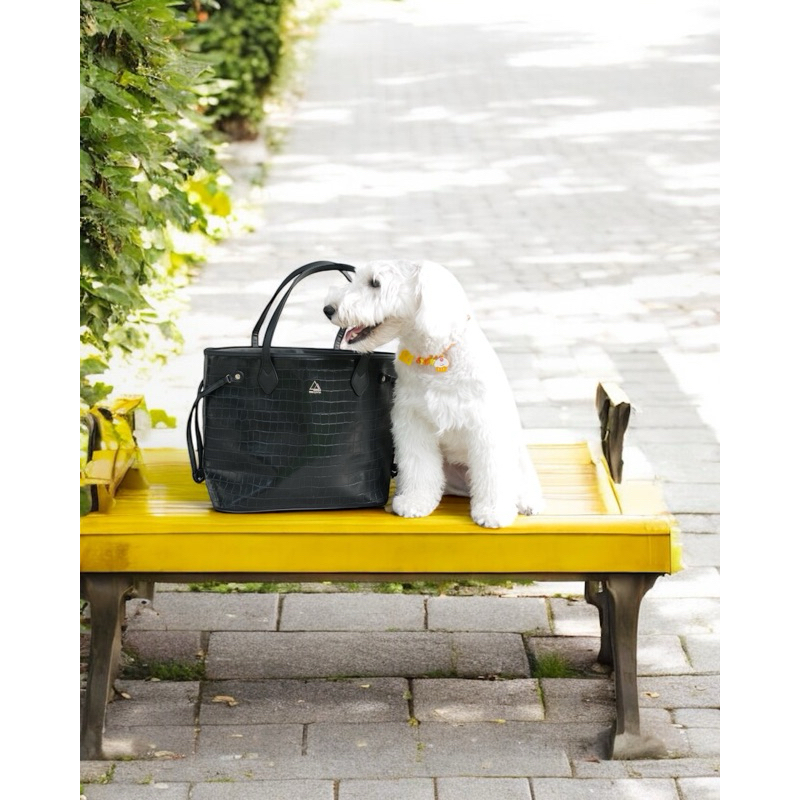 City Bag (Large Size)