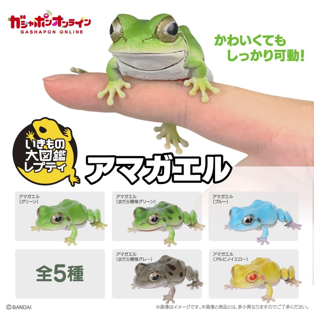 Bandai Living Creatures Encyclopedia Tree Frogs Gashapon กบ กาชาปอง Ikimono Frog