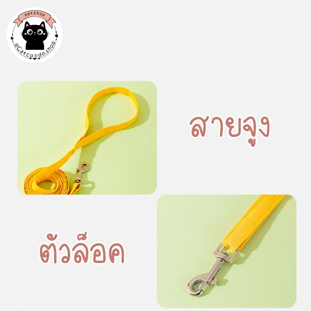 🌵 สายจูงเสื้อกั๊ก สายจูงสัตว์เลี้ยง สายจูงแมวรัดอก จูงหมา สําหรับสัตว์เลี้ยง สุนัข แมว สายจูง 🌵 รูปที่ 5