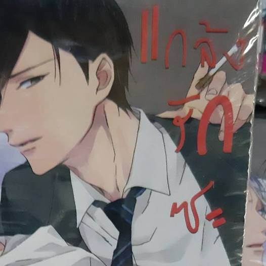 แค้นนักแกล้งรักซะเลย การ์ตูนวาย หนังสือการ์ตูนวาย หนังสือการ์ตูน มังงะ จบในเล่ม