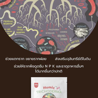 ฮิวมิคผง ผสม ไตรโคเดอร์มา 1kg คุณภาพสูง ฟื้นฟูดินเสีย แตกยอด แตกใบ ป้องกันเชื้อรา กระตุ้นราก ล้างสารเคมีในดิน