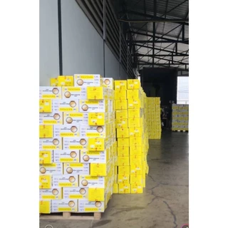 แมคคาเดเมียอบเนย กรอบ หอม มัน 500 กรัม ซื้อ 1 ถุง แถม 1 ถุง