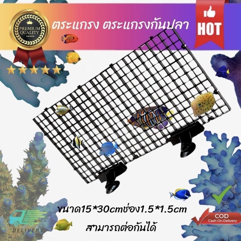ตะแกรงกันปลา ตะแกรงแฟรก กว้าง15cmยาว30cm ราคา ถูกที่สุด ดีลบีเคเค แกลเลอรีภาพที่ 4