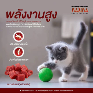 [ถุงแบ่งจากโรงงาน] Maxima แม็กซิม่า อาหารเม็ดสำหรับ แมวทุกสายพันธุ์ ขนาด 1Kg