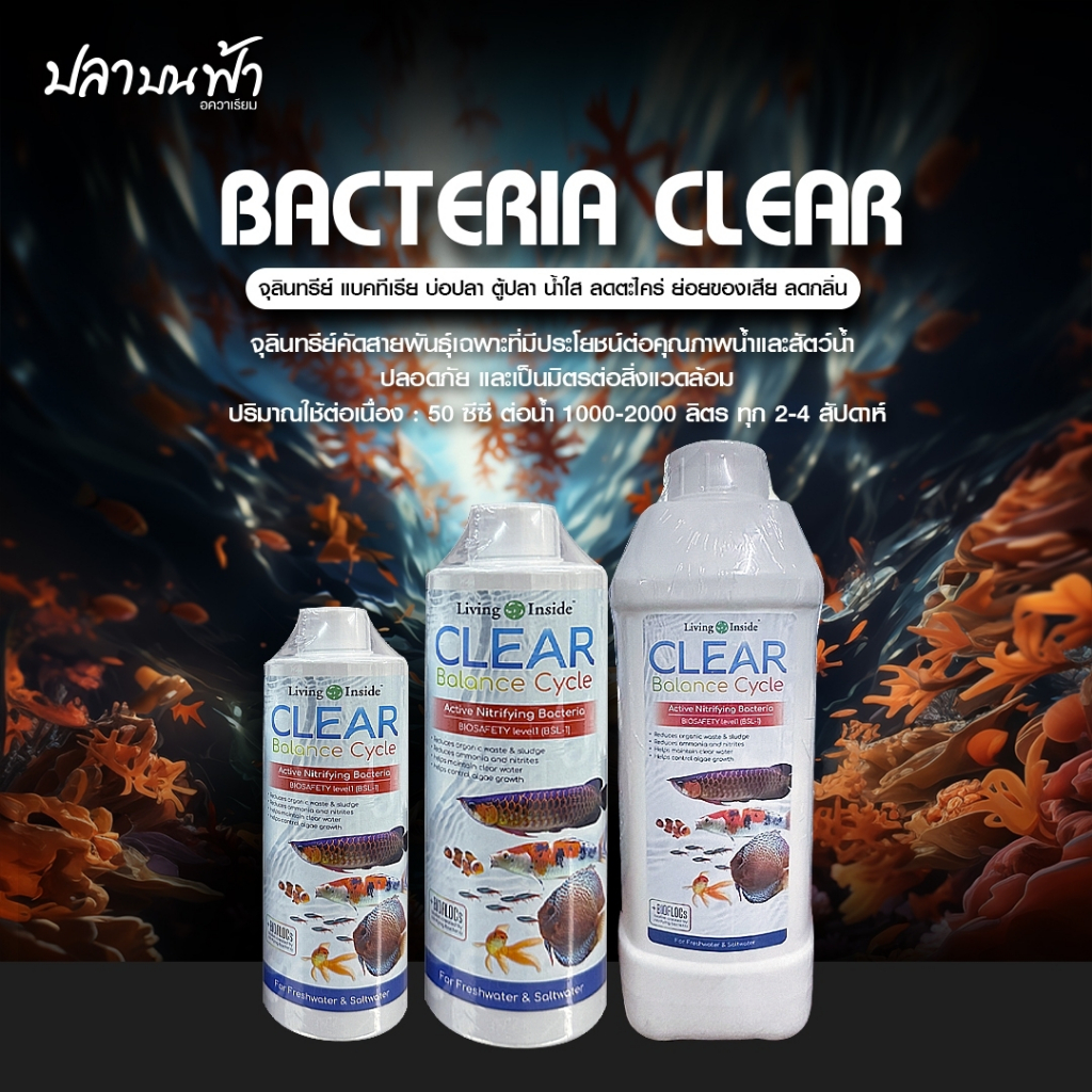 (พร้อมส่งทุกวัน) แบคทีเรีย Living Inside จุลินทรีย์ช่วยลดของเสียในน้ำได้ดี สลายขี้ปลา ปรับสภาพน้ำใส 