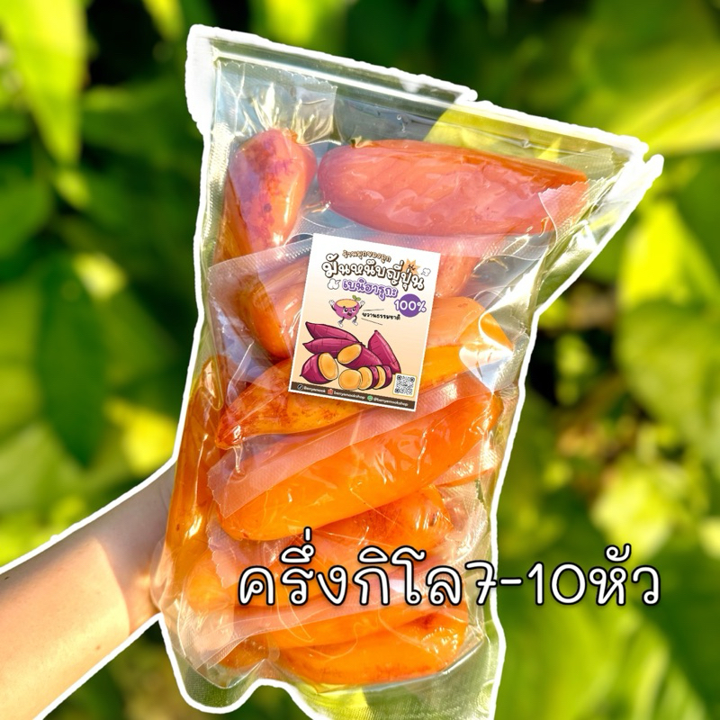 รูปภาพ 6