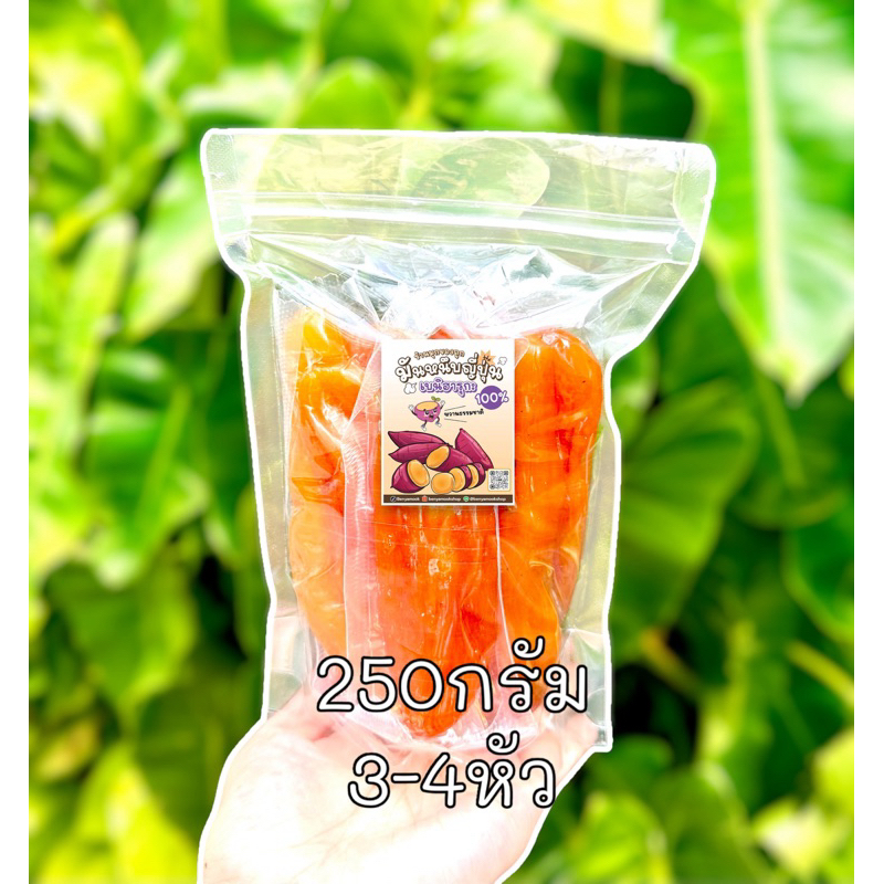 รูปภาพ 7