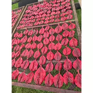 ปลาทูแดง น้ำหนัก 500 กรัมหรือครึ่งกิโลกรัม แพ็คถุงซีลสูญอากาศอย่างดี ทำจากปลาทู สดใหม่ ปลาตากใหม่ทุกวัน สินค้าขายดี