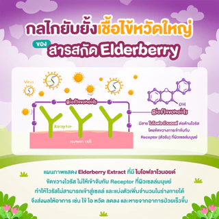 Jelly CARE IMMU เจลลี่แคร์ อิมมู - วิตามินเสริมภูมิ อาหารเสริมเด็ก ต้านหวัด สู้ไวรัส