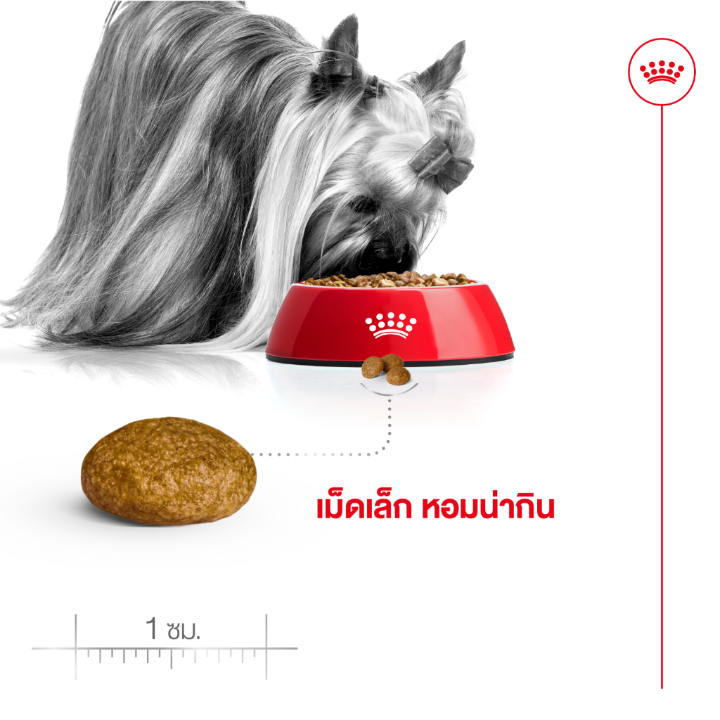 Royal Canin X Small Adult อาหารสุนัข รอยัลคานิน สุนัขโต พันธุ์จิ๋ว 10 เดือนขึ้นไป ขนาด 3kg - รูปที่ 3