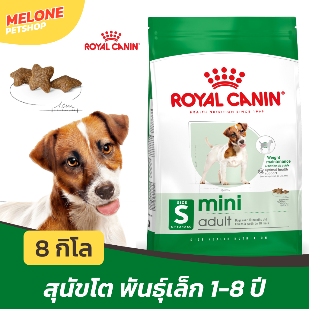 Royal Canin Mini Adult รอยัลคานิน มินิ อาหารสุนัข สุนัขโต พันธุ์เล็ก ขนาด 8kg