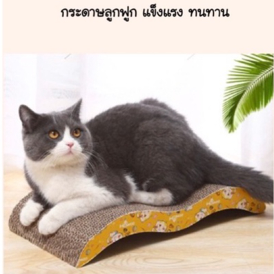 New ที่ลับเล็บ ที่ลับเล็บแมว ที่ฝนเล็บแมว ของเล่นแมว สำหรับแมว #P006