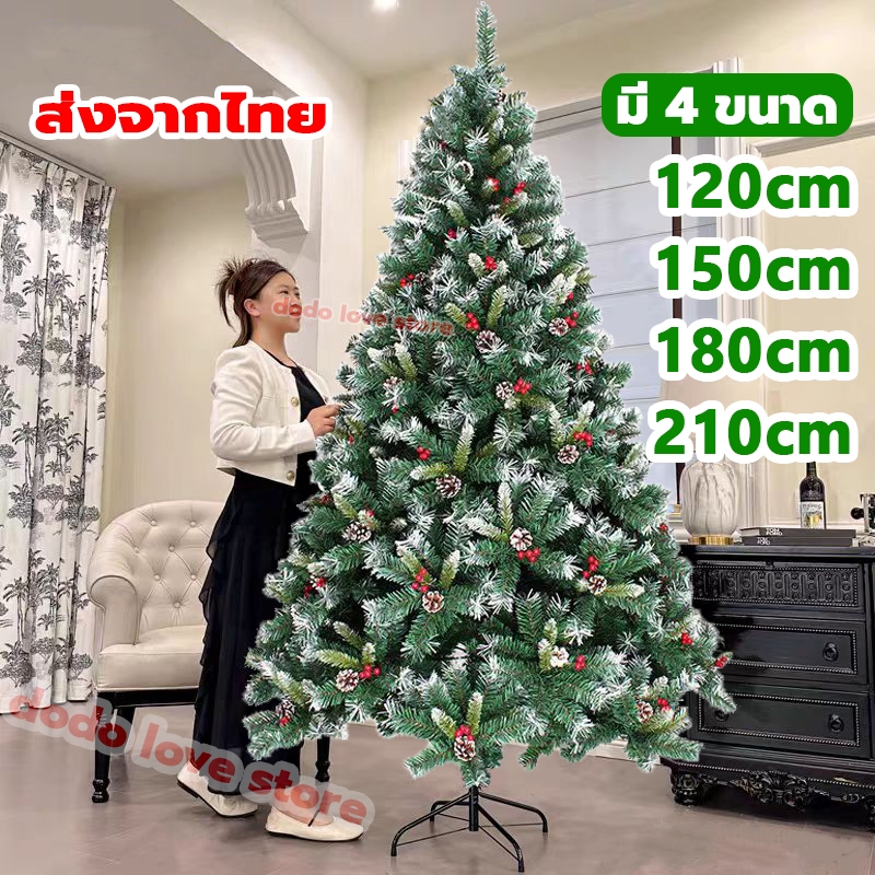 ส่งจากไทย ต้นคริสต์มาส พร้อมของตกแต่ง ขนาดใหญ่ ต้นคริสมาสต์สวยๆ Christmas tree ขนาด120/150/180/210CM