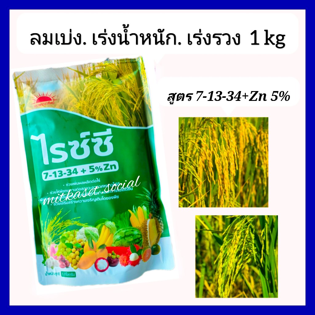 ปุ๋ยเกล็ด ไรซ์ซี สูตร 7-13-34 + Zn5 %  ปุ๋ยลมเบ่ง 1 kg ช่วยส่งเสริมให้ข้าวออกรวงสม่ำเสมอ เพิ่มน้ำนม 